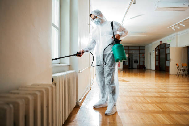 Best Pest Prevention Services  in Groves, TX